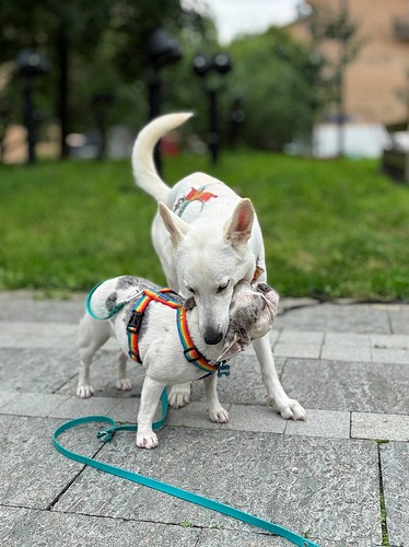 photo_2025-08-11_16-59-50