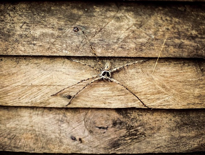 FB_IMG_1646882491993