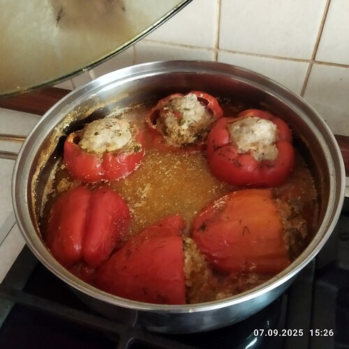 IMG_20250907_152609_copy_800x800