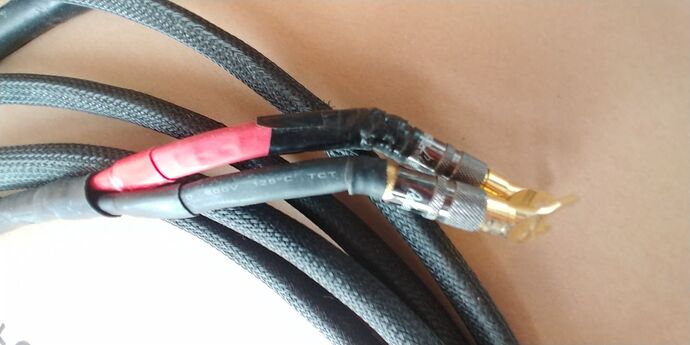 photo_5201803221000121198_y