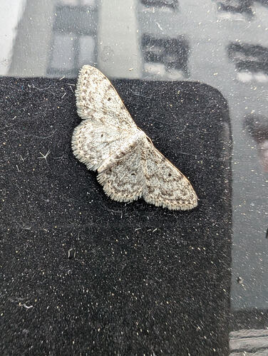 PXL_20251008_045724655