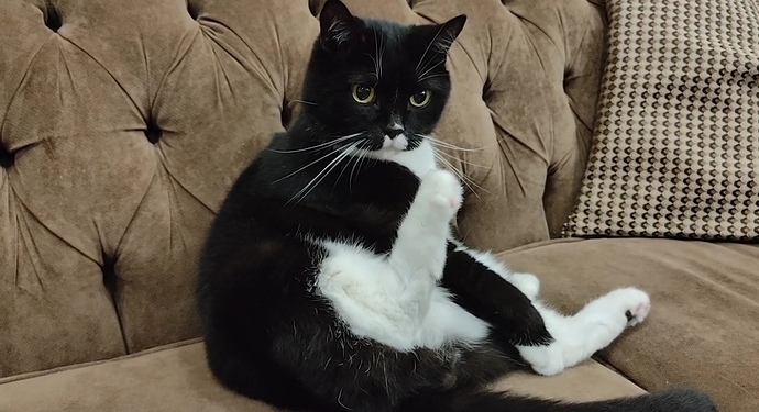 Screenshot_2025-11-01-22-32-39-12_99c04817c0de5652397fc8b56c3b3817