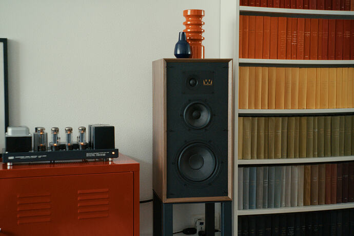 Still 2026-02-09 165033_1.146.1