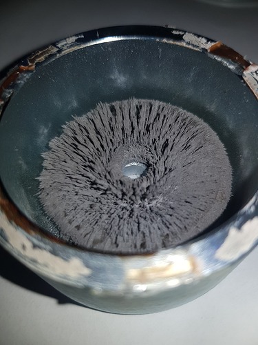 16726418398064290932656647495966