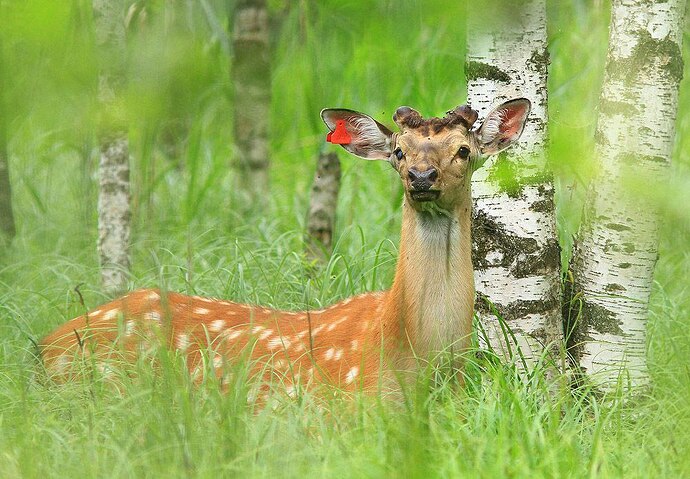 photo_2025-06-14_16-28-42