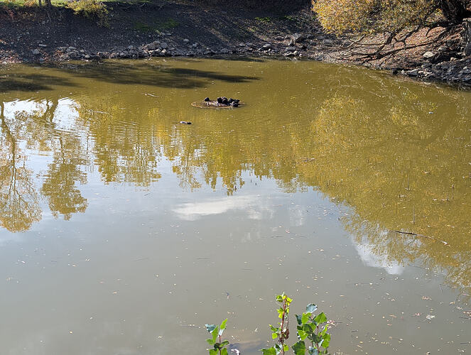 PXL_20251026_101326055