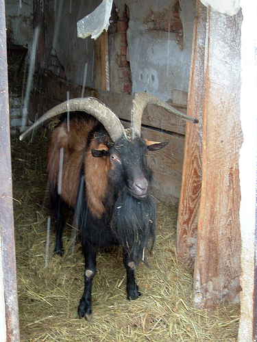 DSCF0185