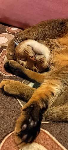 WhatsApp Image 2024-06-13 at 21.49.13