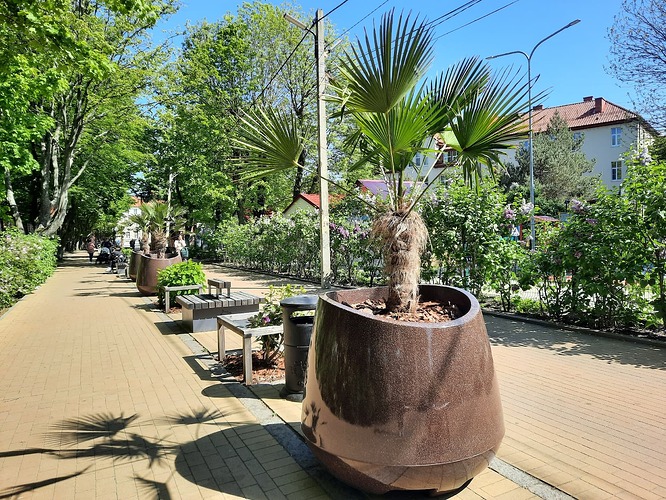 Зеленоградск-27