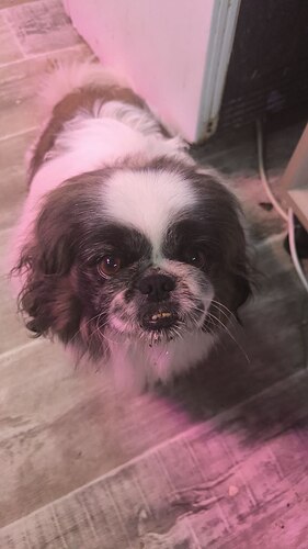 IMG_20250217_210350_747