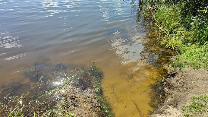 IMG-20230809-WA0003