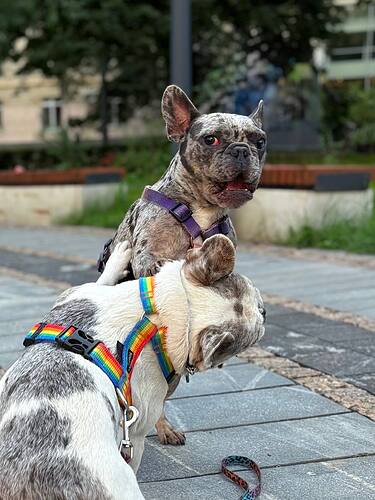 photo_2025-08-11_16-58-02