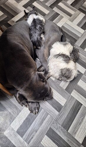 IMG_20260114_133733_045