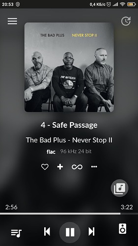 Screenshot_2024-11-18-20-53-32-997_volumio.browser.Volumio