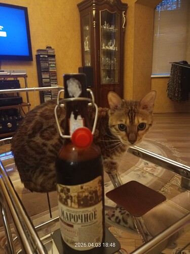 IMG20260403184810_copy_768x1024