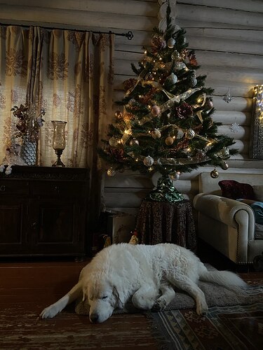 photo_2025-12-31_10-23-46