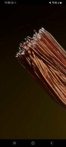 Screenshot_20260107_112239_Samsung Internet