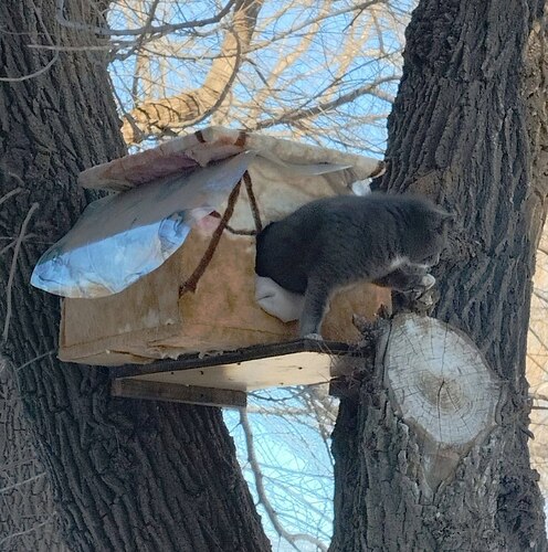 photo_2026-01-08_23-44-35