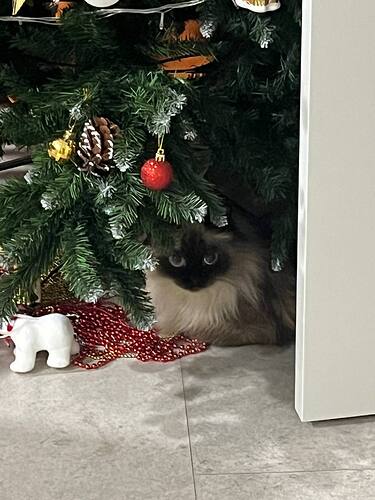 photo_2025-12-30_13-48-51