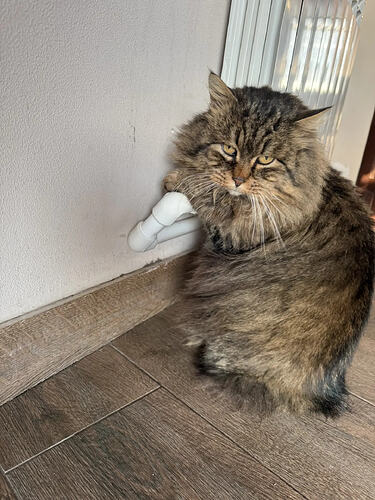 IMG_20260125_153109_418