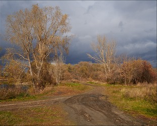 DSCF6514
