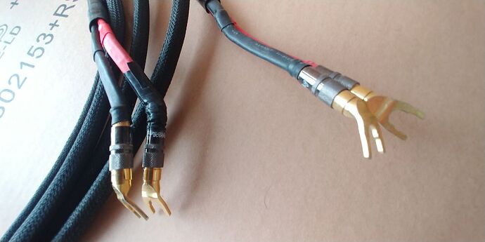 photo_5201803221000121194_y