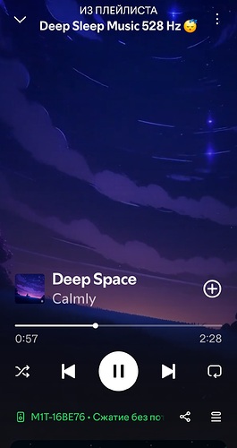 Screenshot_20260129_112645_Spotify