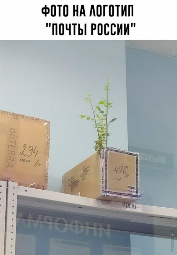 2020-10-12-17-59-5910