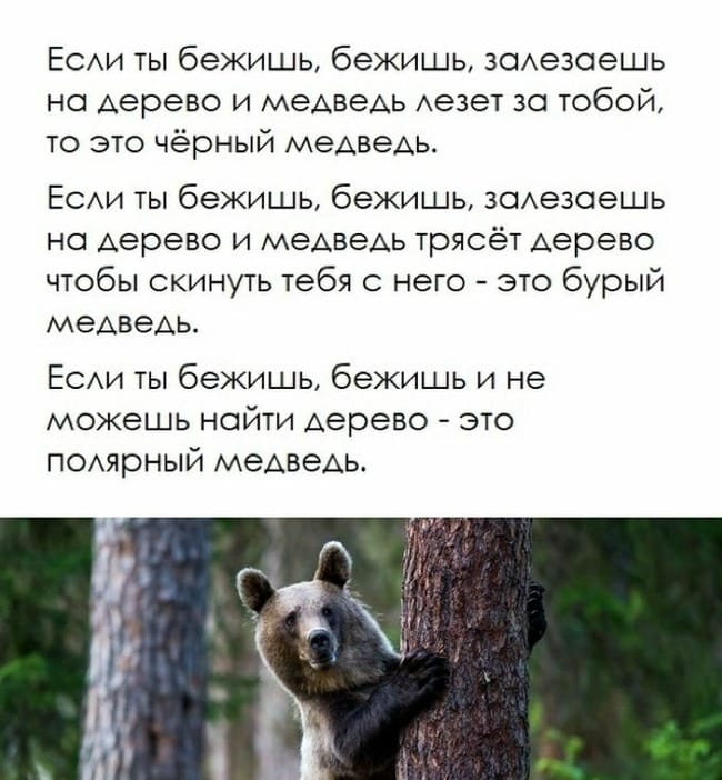 7380d10a-bc69-493c-b303-a705e14ef94a-1