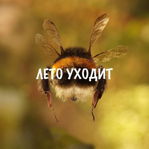 fno5v2nxnms