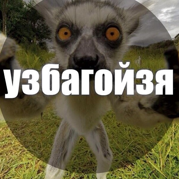 11356031_406034159602858_1331435232_n