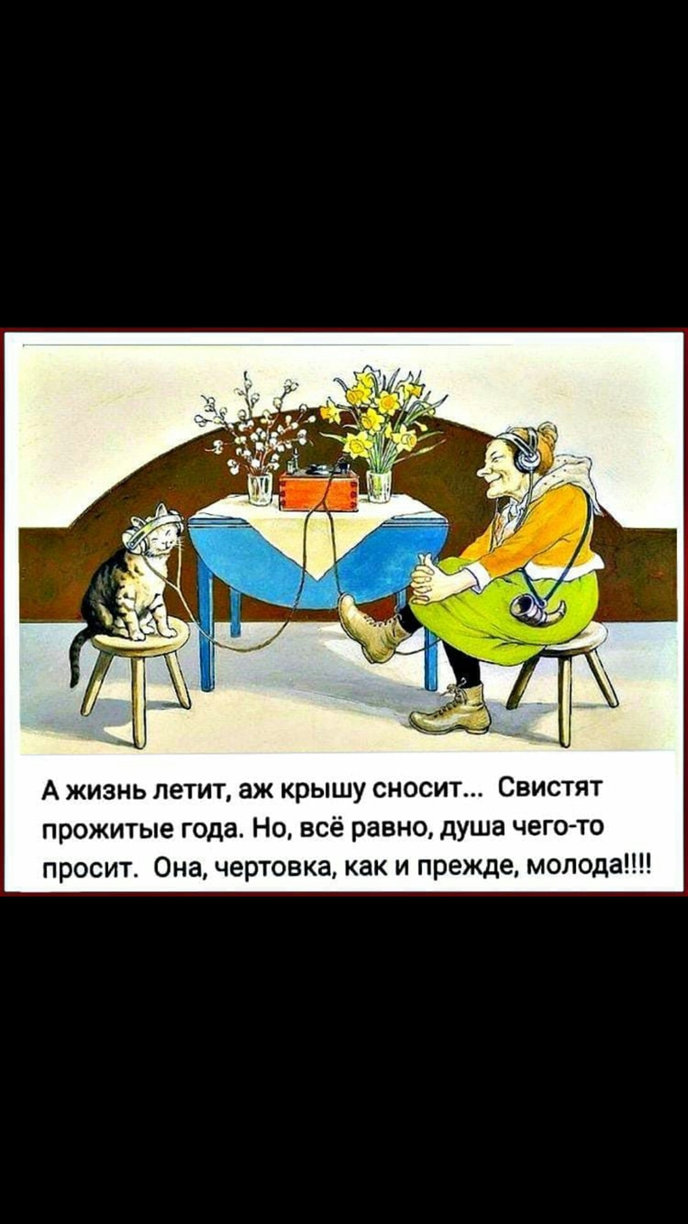 А жизнь летит аж шляпу. Жизнь летит юмор.