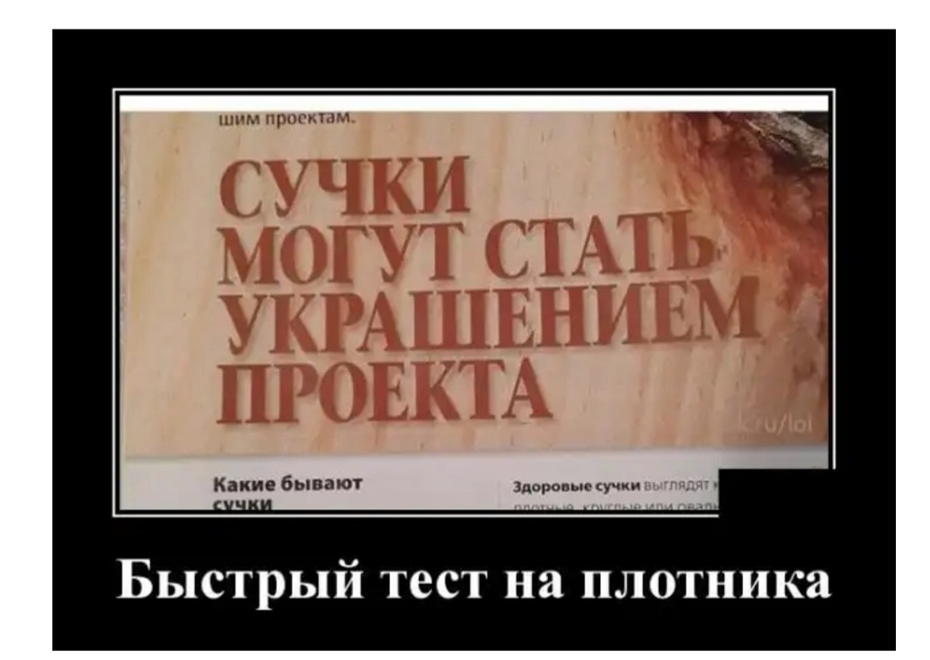 Эта сука выглядит как кошка скачать 