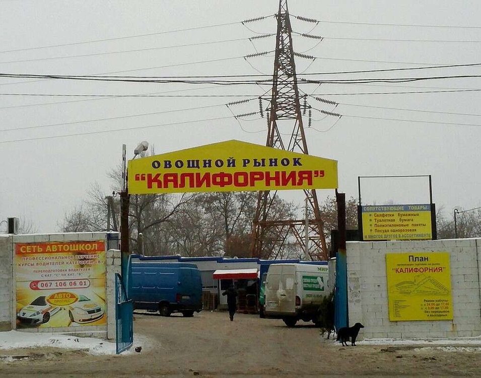 Jó pénisz hosszúságú.