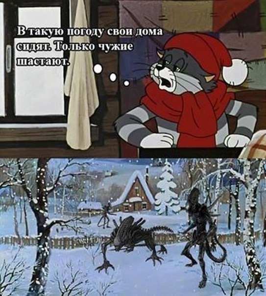 amikor az ember kiveszi a péniszét cumra