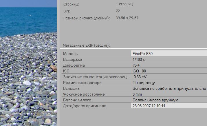 Снимок морэ