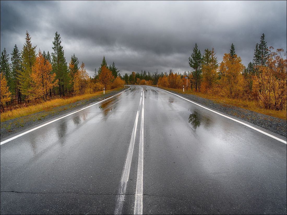 Фото Северных Дорог