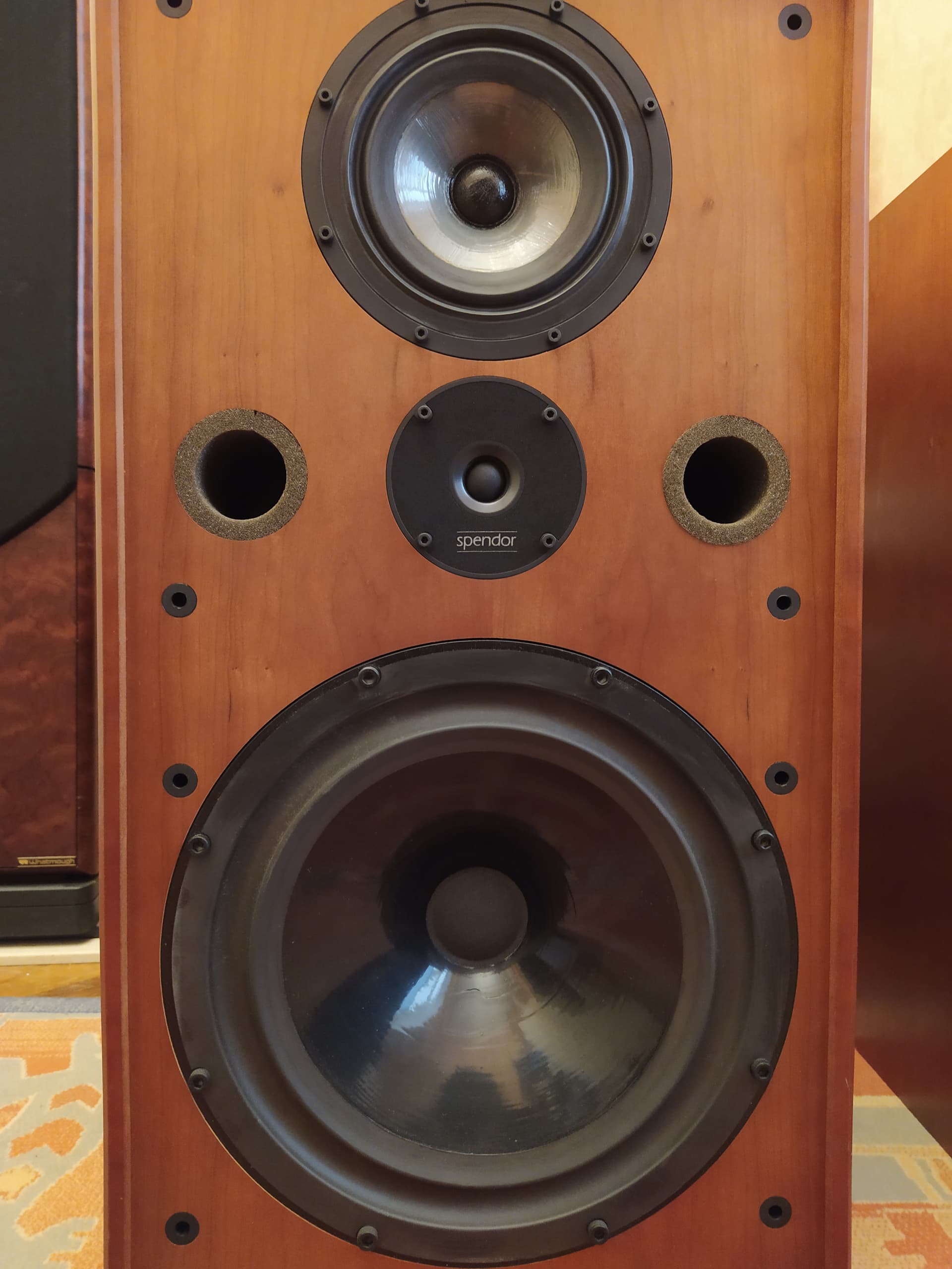 Spendor sp100 store