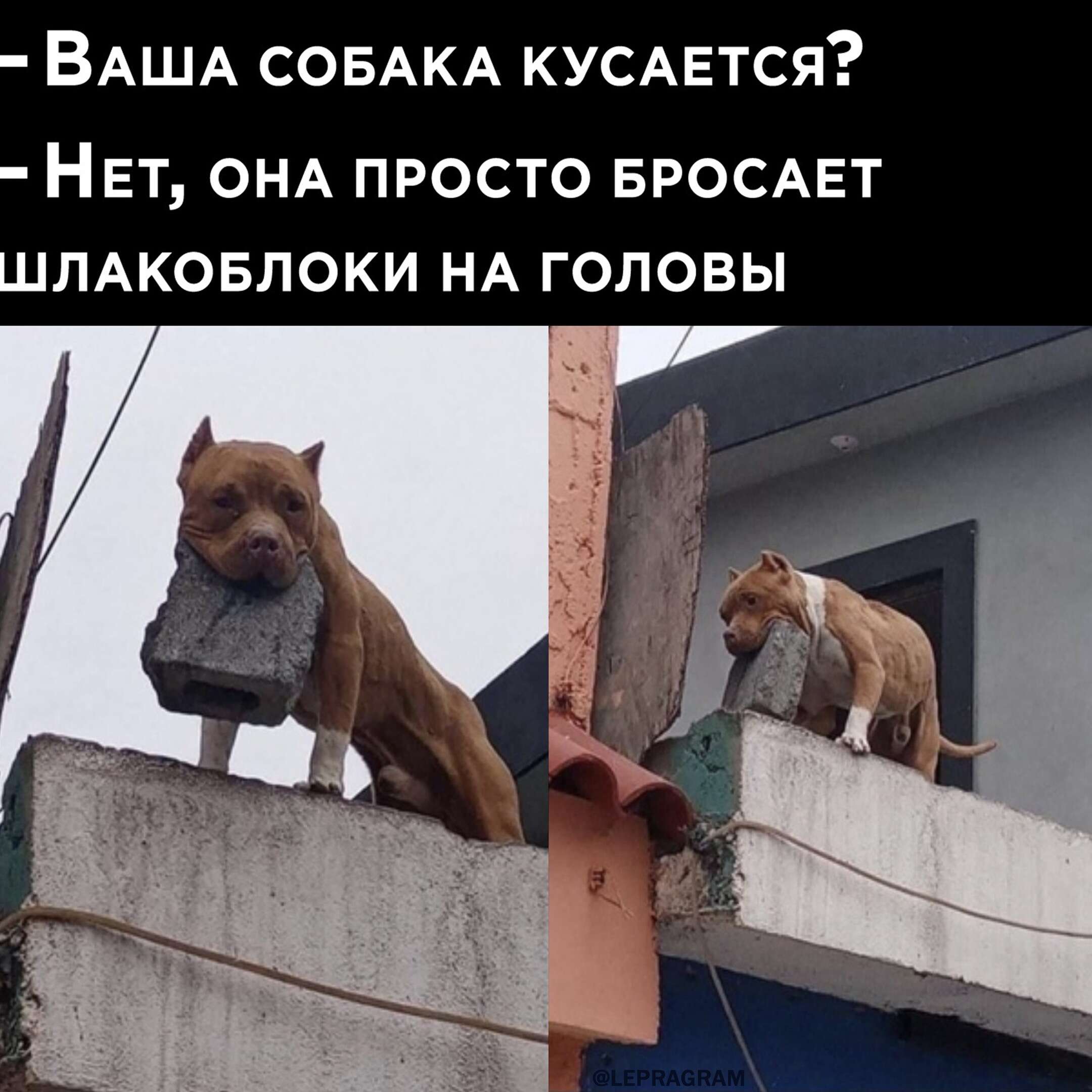 Скачай это бесплатное Фото на тему Не пущу мем и открой