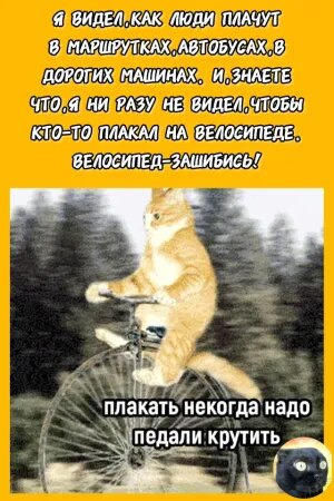 GrxoKgioYt6TP_aNuU33ceo-ZJY-1920