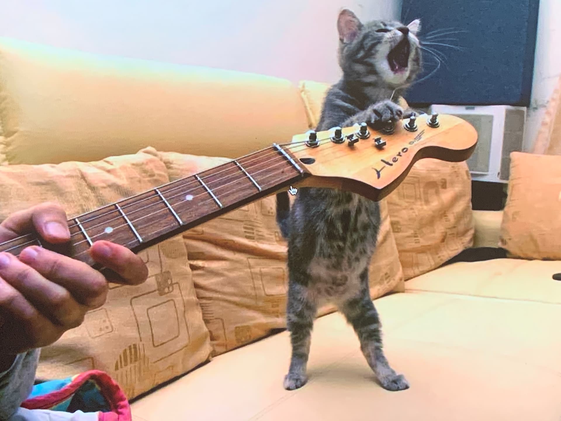 А не спеть ли мне. Давай споем картинки. Какую песню тебе спеть netsignala. Netsignala - какую песню тебе спеть (лезгинка remix). Тебе спеть что ли.