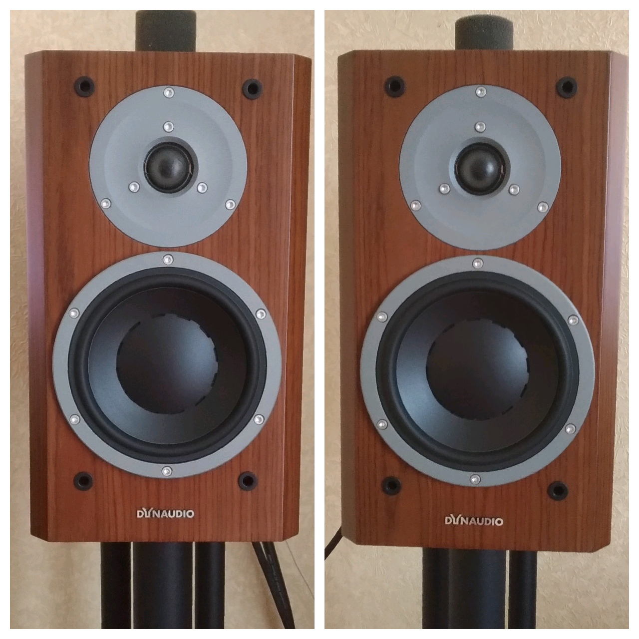 Dynaudio focus 160 for hot sale sale