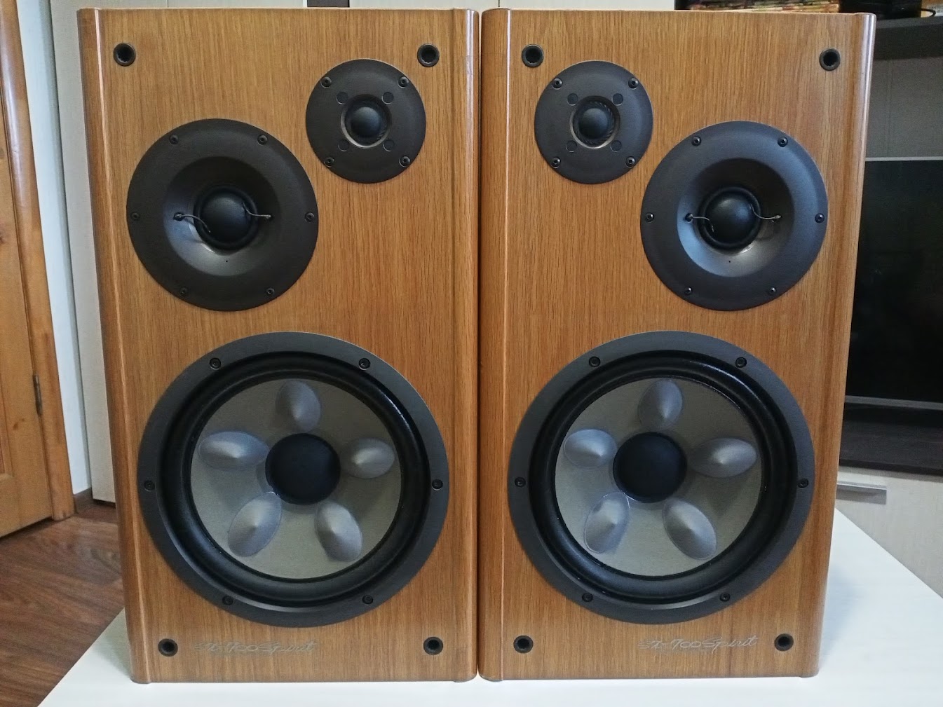 ビクター Victor スピーカーペア SX-700SPIRIT