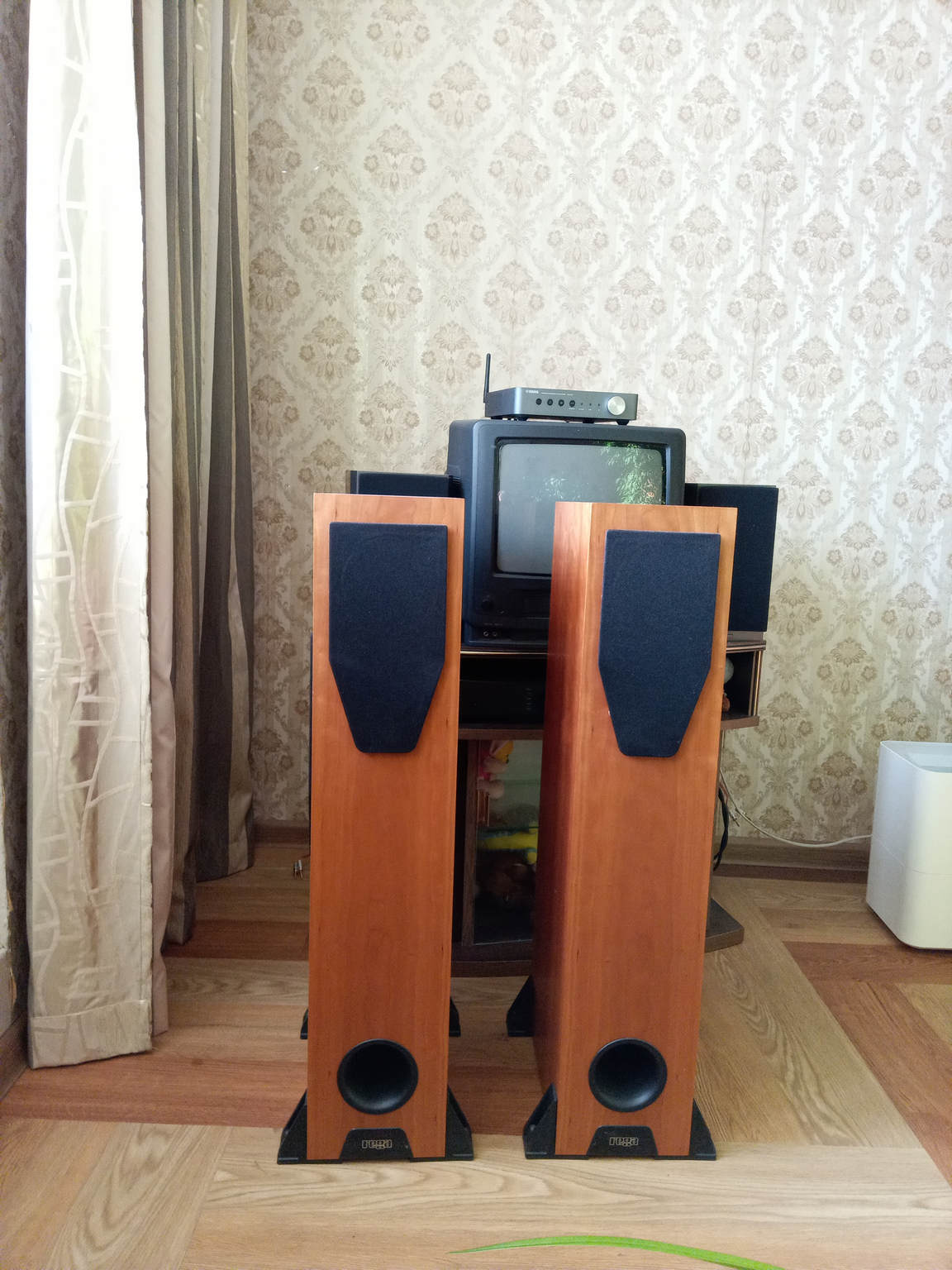 Rega RS 5 Cherry DA Stereo