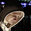 Alexander_Shelyakov