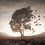 Ash_leaf Ash_leaf