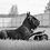 Sergey_Sergeev Sergey_Sergeev